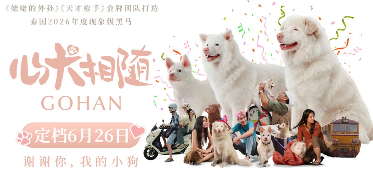 泰国票房爆款电影《心犬相随》定档6月26日 温暖治愈感动全球